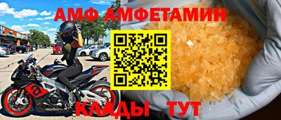 прущие грибы Ярославль