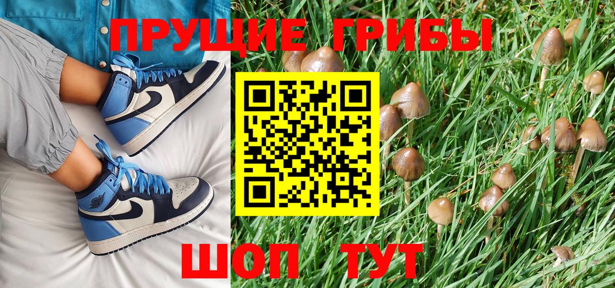 Псилоцибиновые грибы прущие грибы  Галлюциногенные грибы MAGIC MUSHROOMS  Вход с VPN  Волжский 