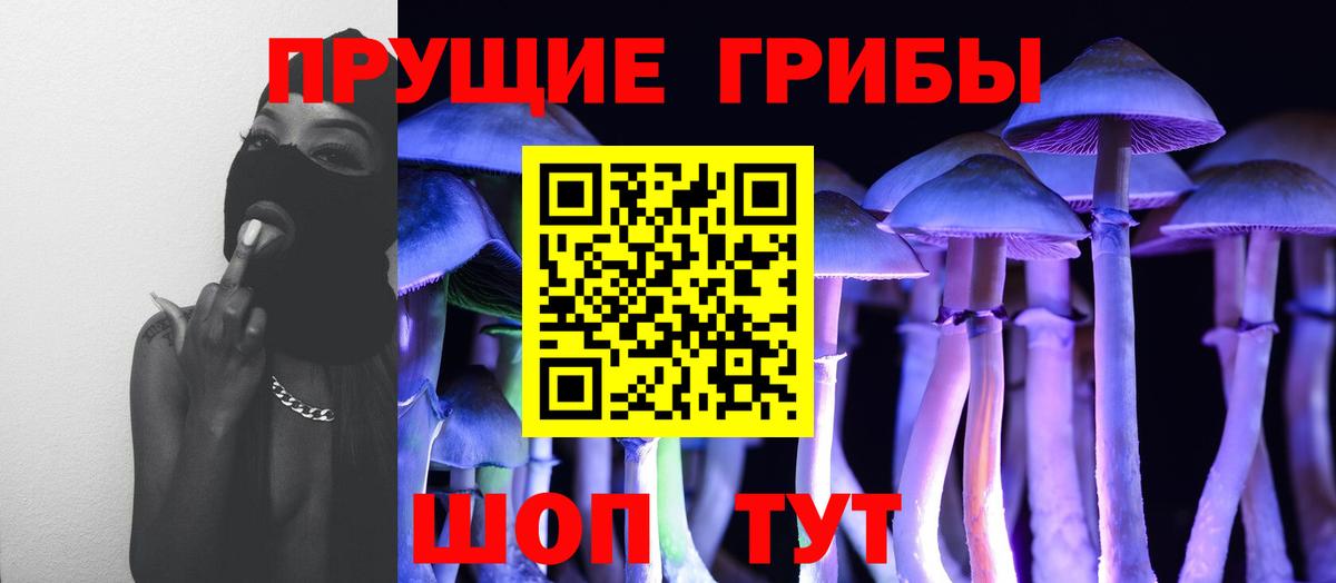 Псилоцибиновые грибы прущие грибы Волжский